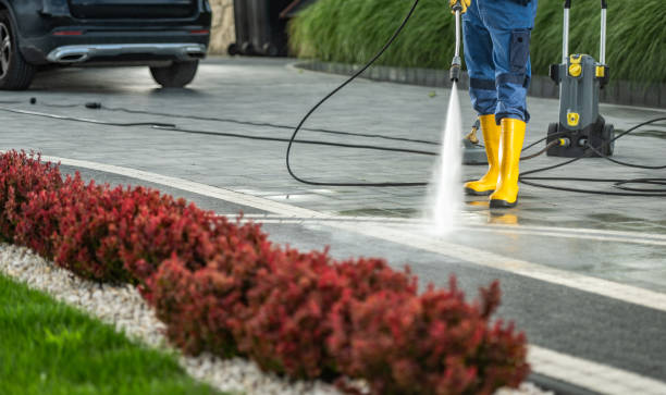 Pre-Holiday Cleaning in Arcadia, LA